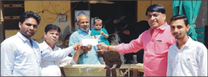 गौ सेवक गुलाबपुरा
